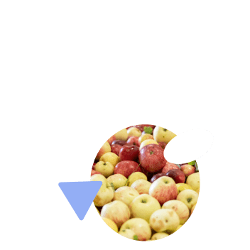 Погружение в мир вкуса и традиций производства сидра 