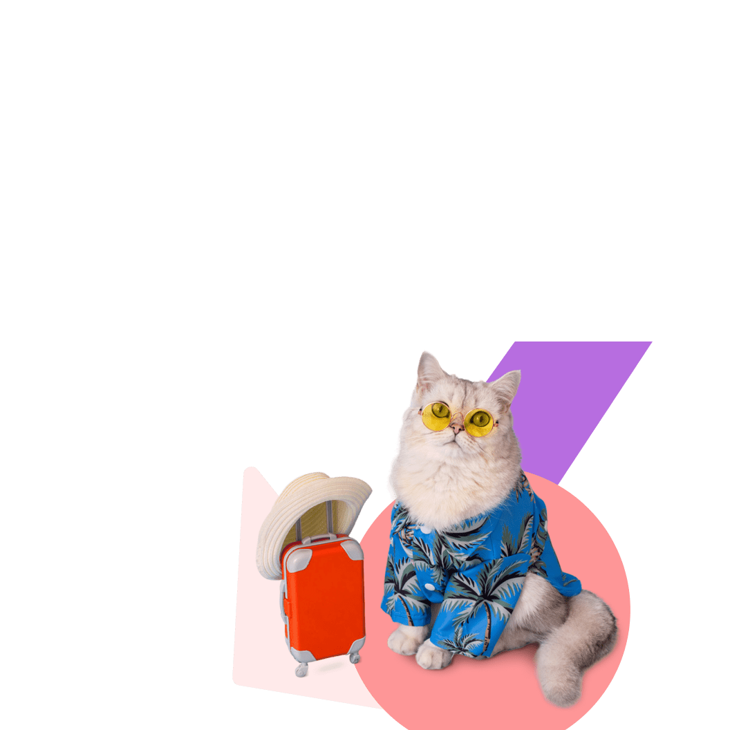 card backgroung image