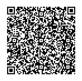 QR RuStore