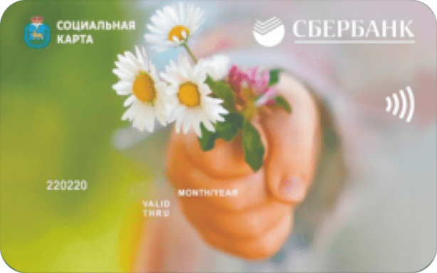 Карта жителя Псковская область